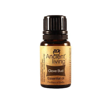 https://cdn.shopify.com/s/files/1/1857/6931/files/2bbMyDpfLw-321589.jpg?v=1736147455
